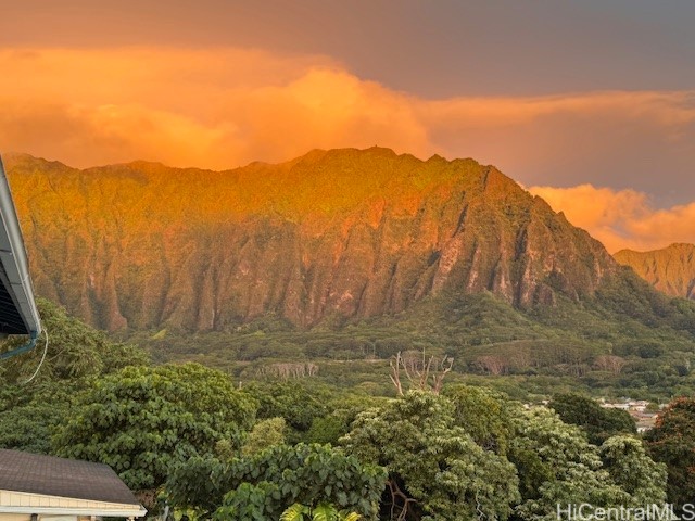 45-545 Ualani Place Property Photo 19