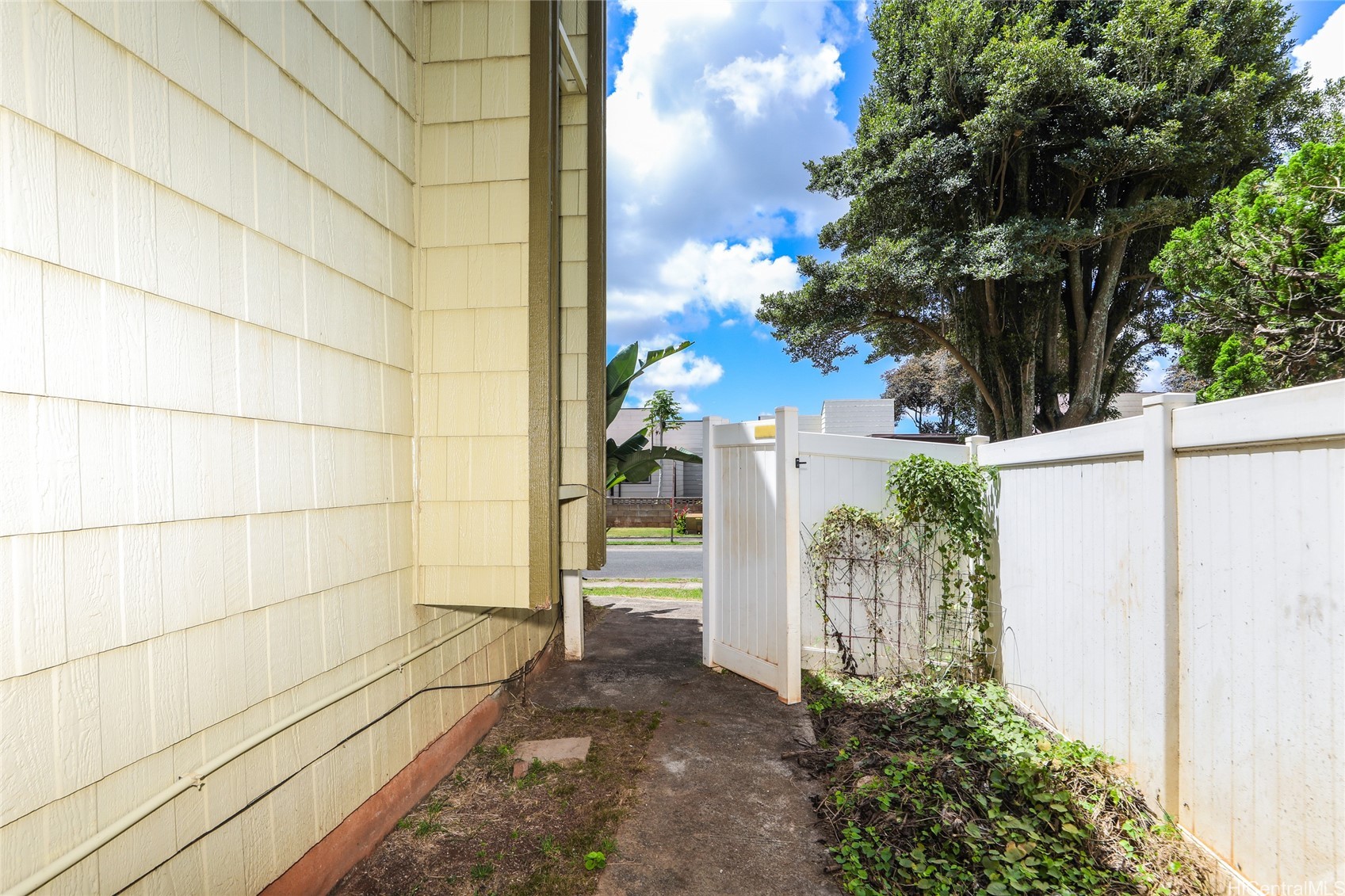 202611113 Property Photo 23
