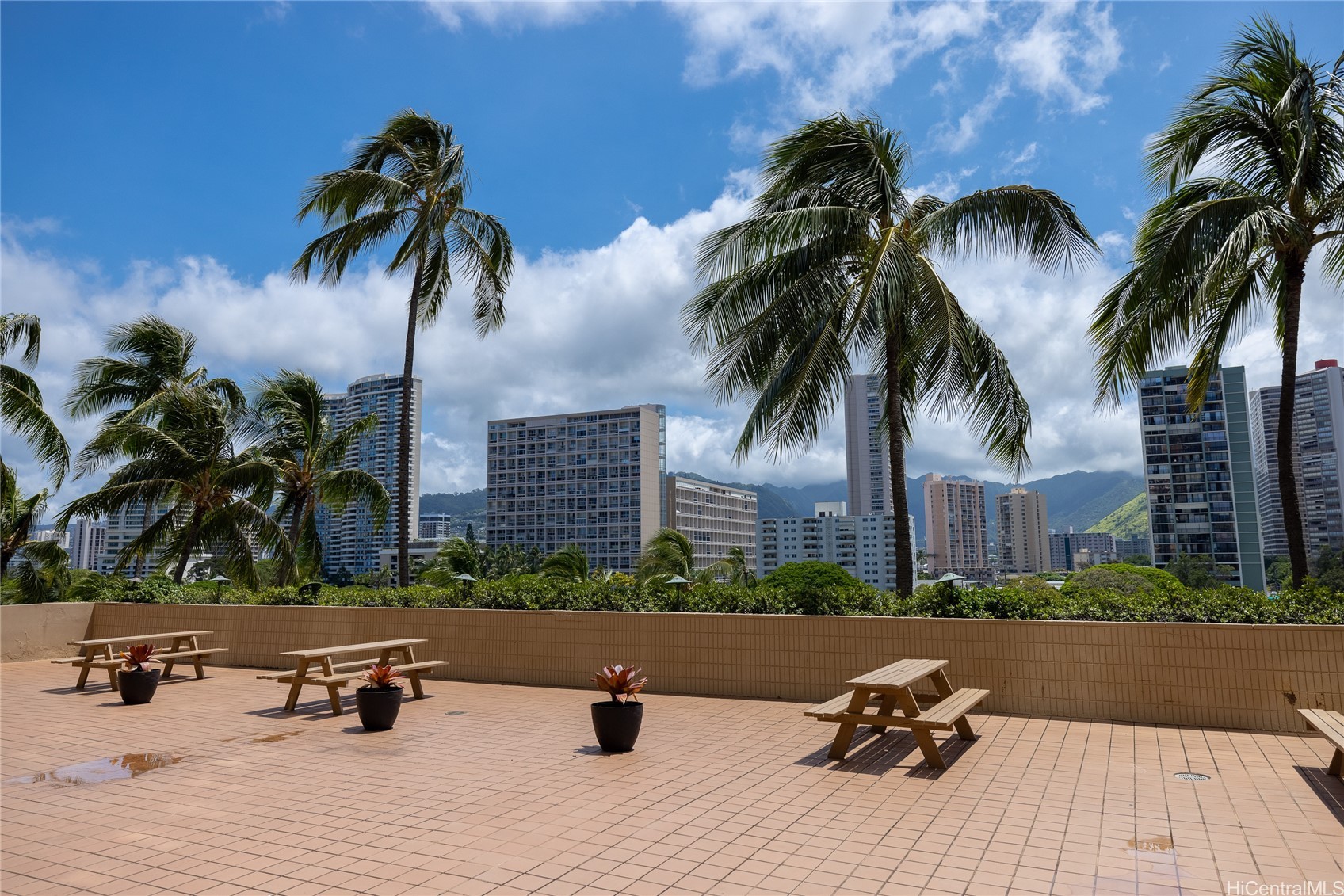 2121 Ala Wai Boulevard 1901 Property Photo 19