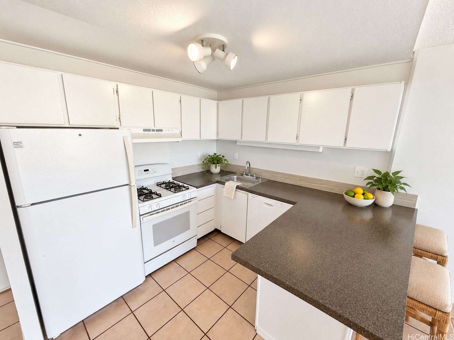 475 Atkinson Drive 1207 Property Photo 5