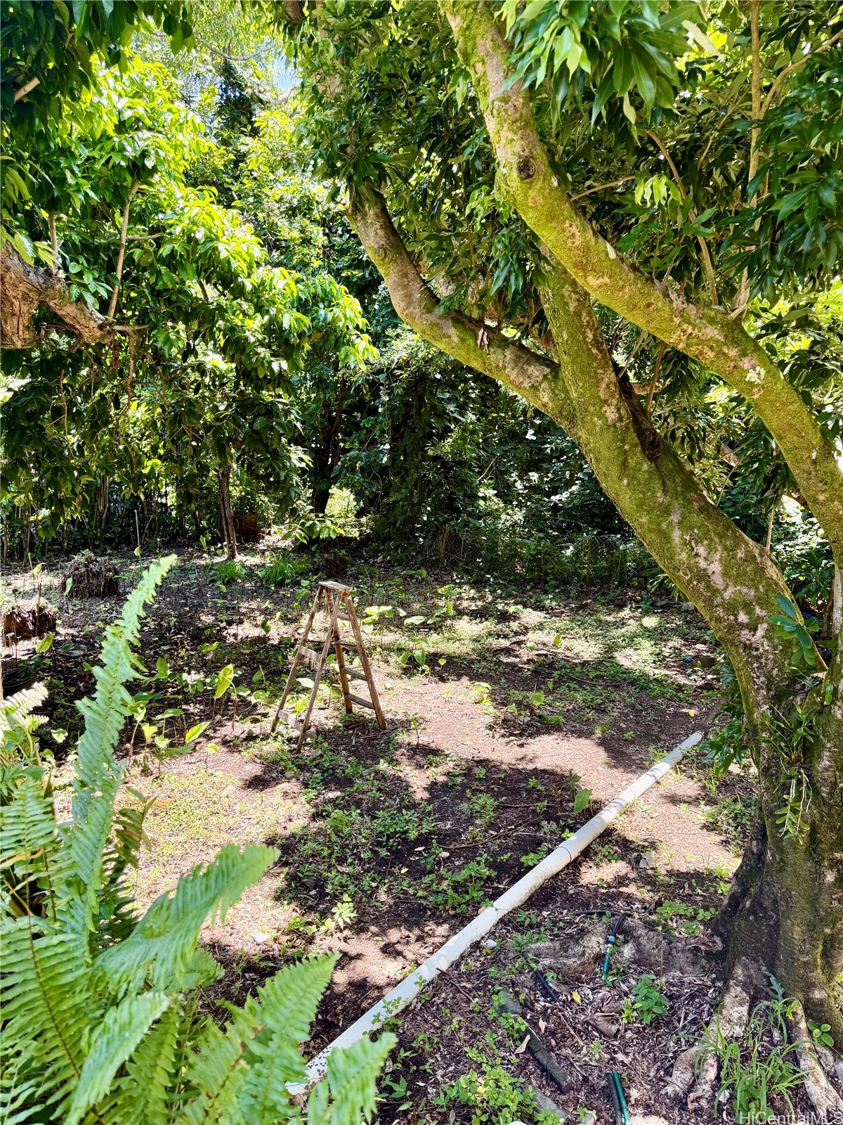 2816 Booth Road Property Photo 17
