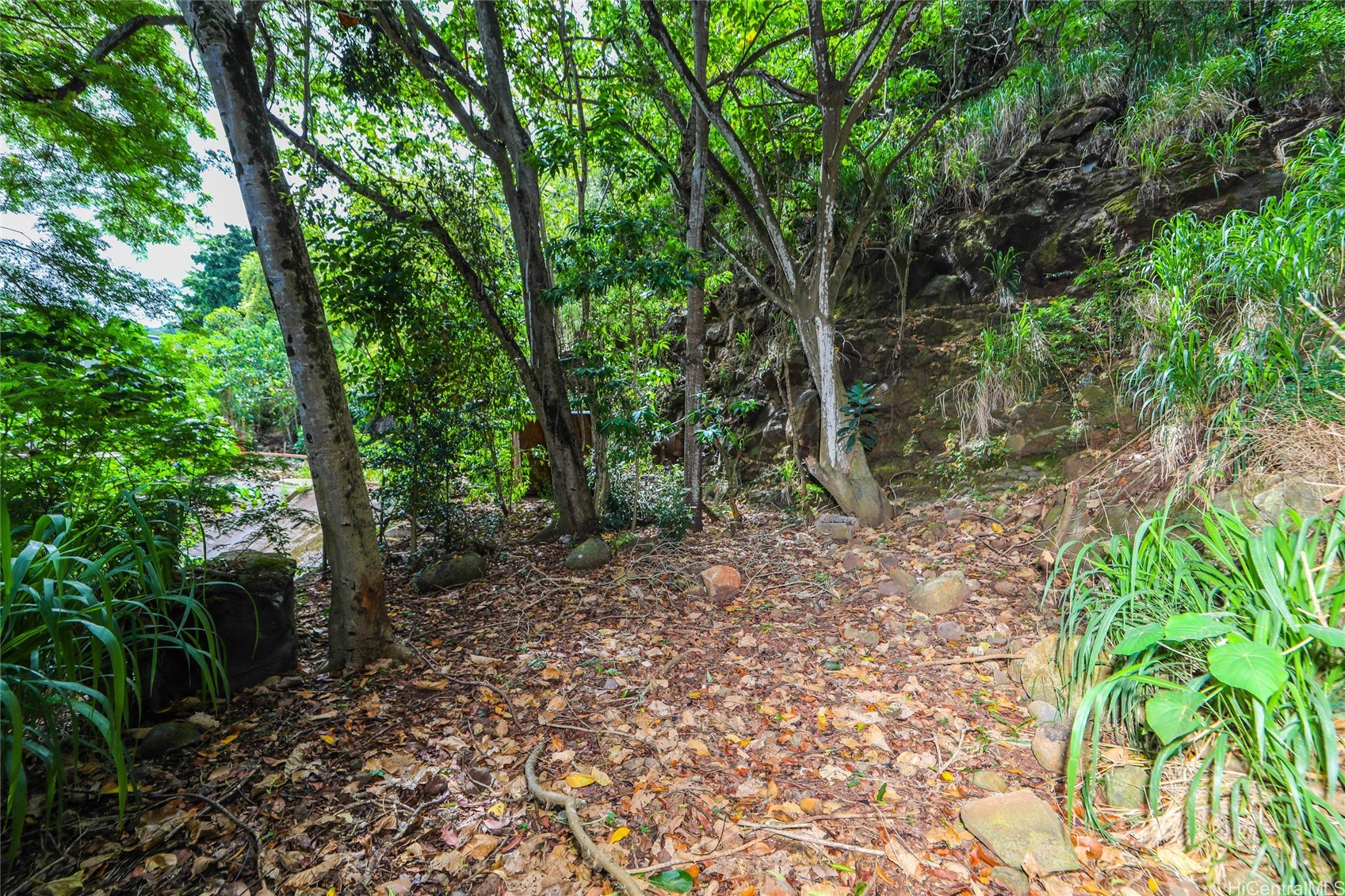 1865 Lanikeha Place Property Photo 24
