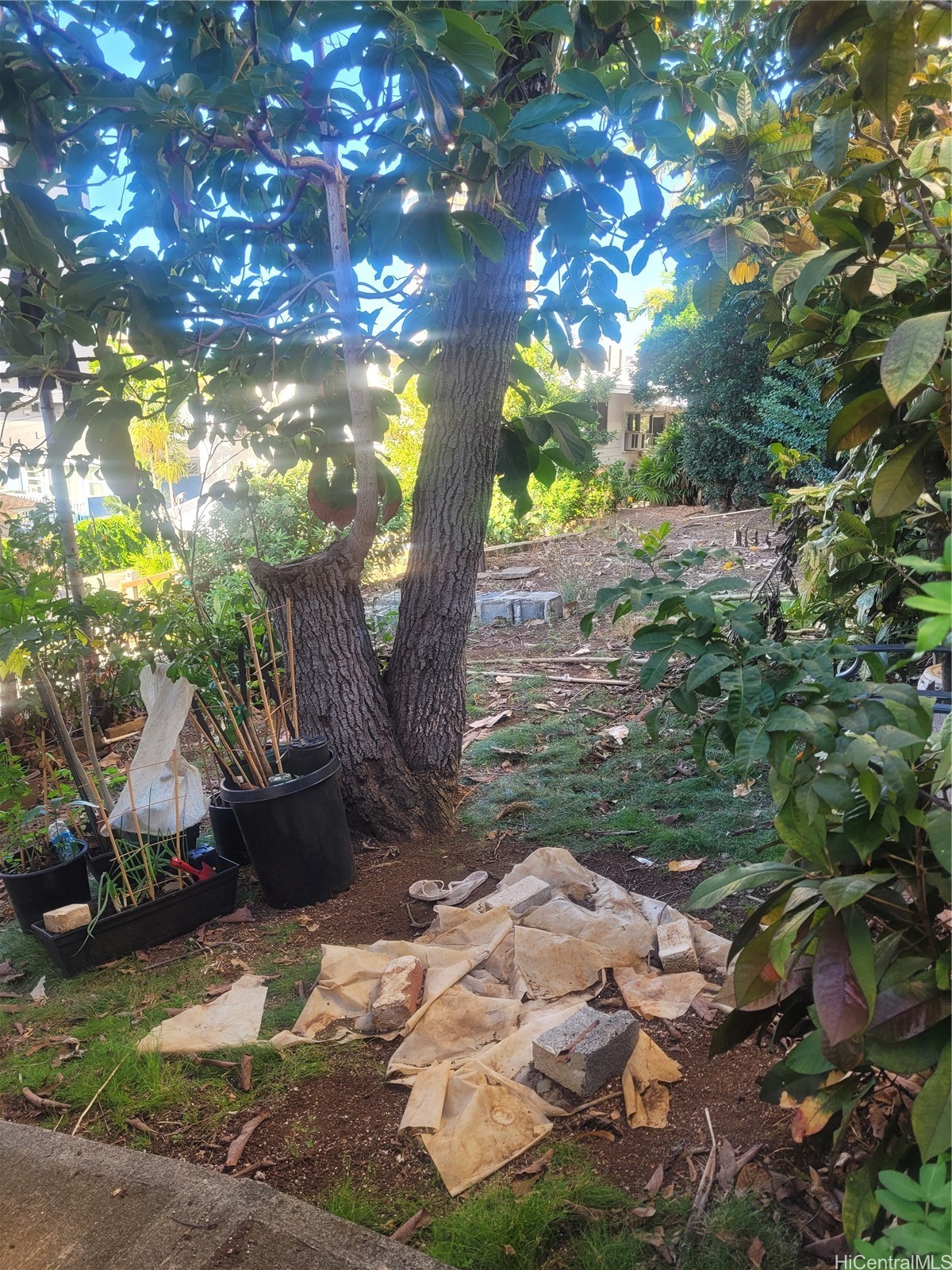 962 Spencer Street Property Photo 4