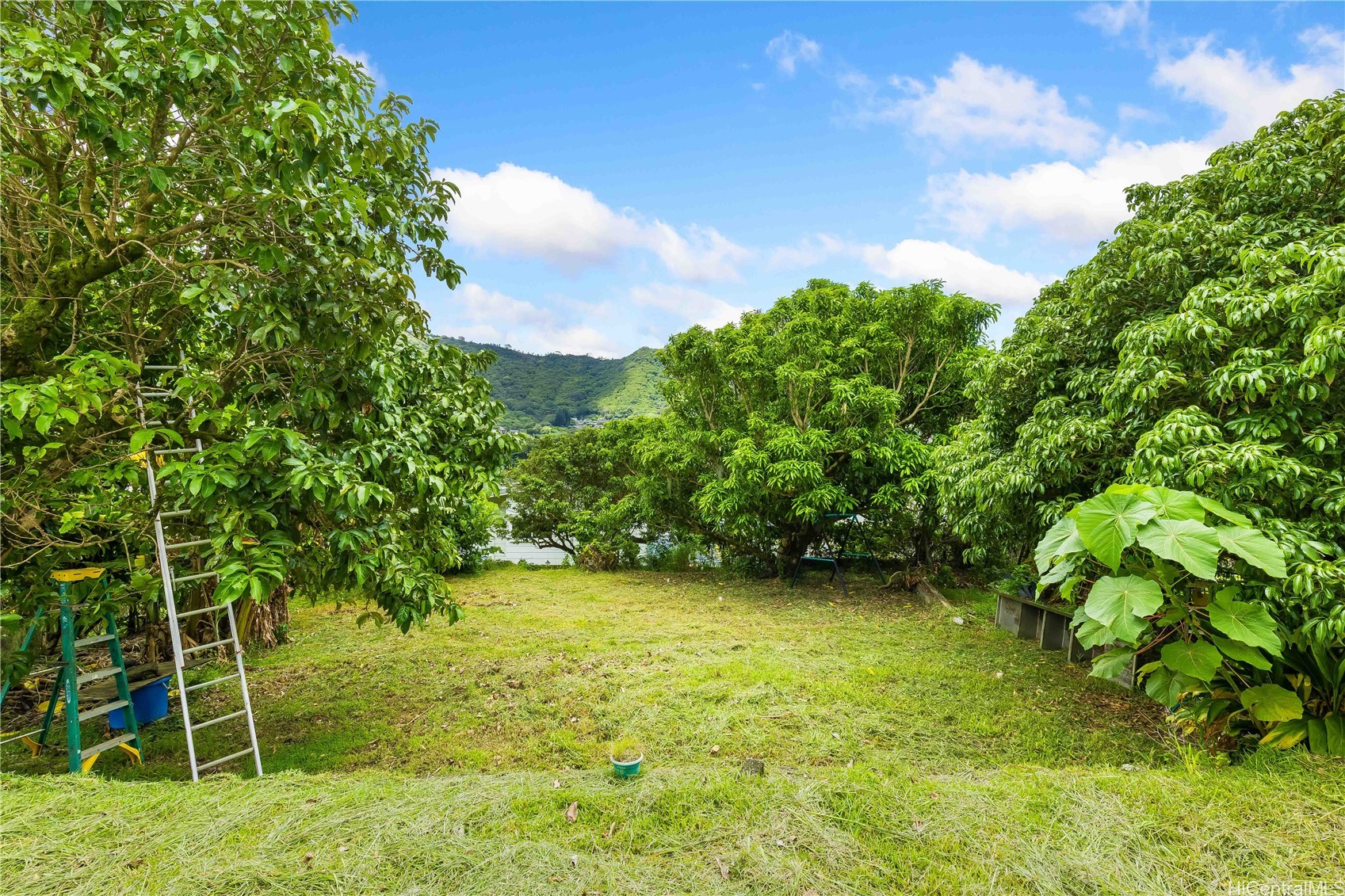 3371 Oahu Avenue Property Photo 18