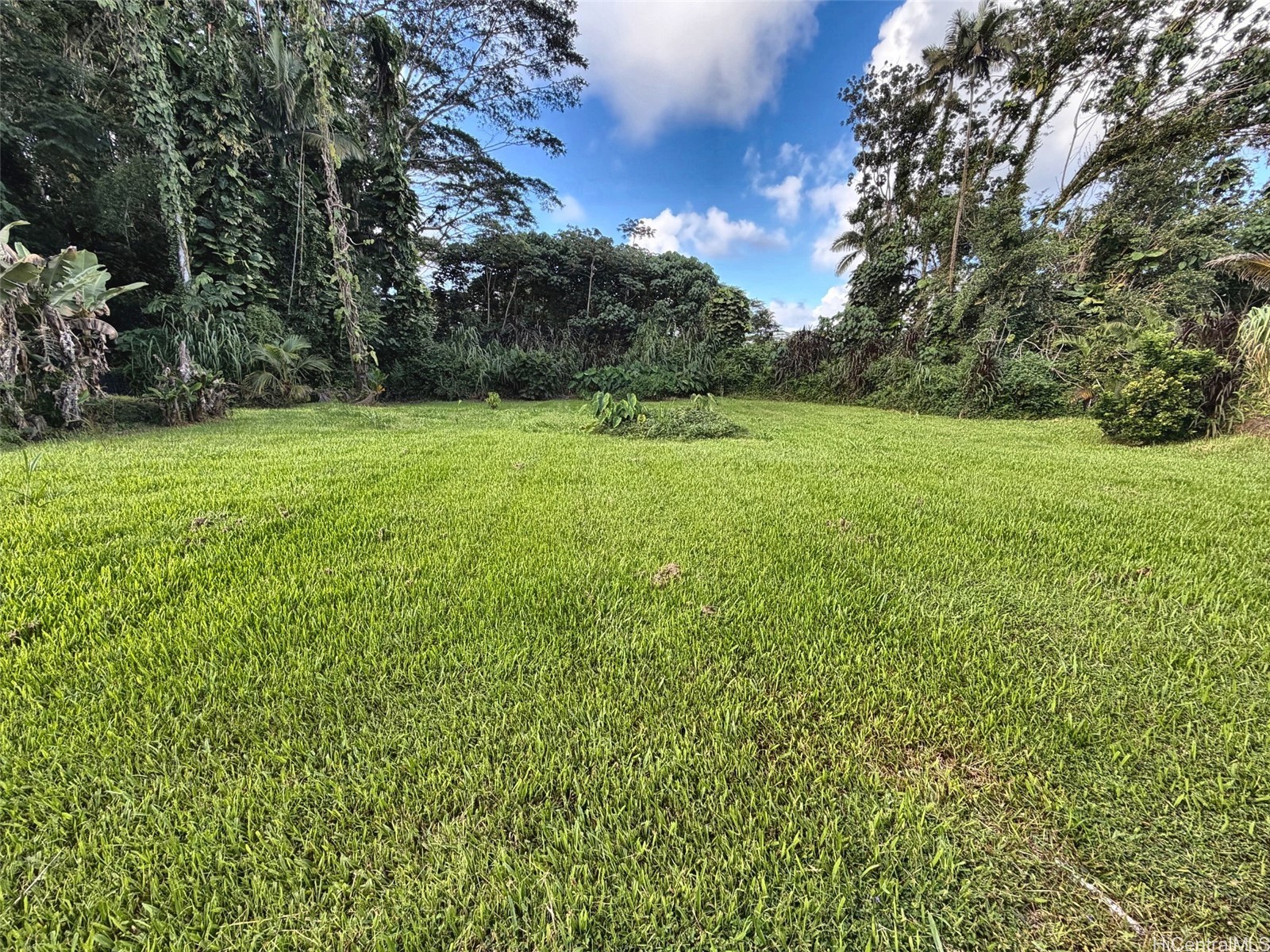 15-1709 Akeakamai Loop Property Photo 23