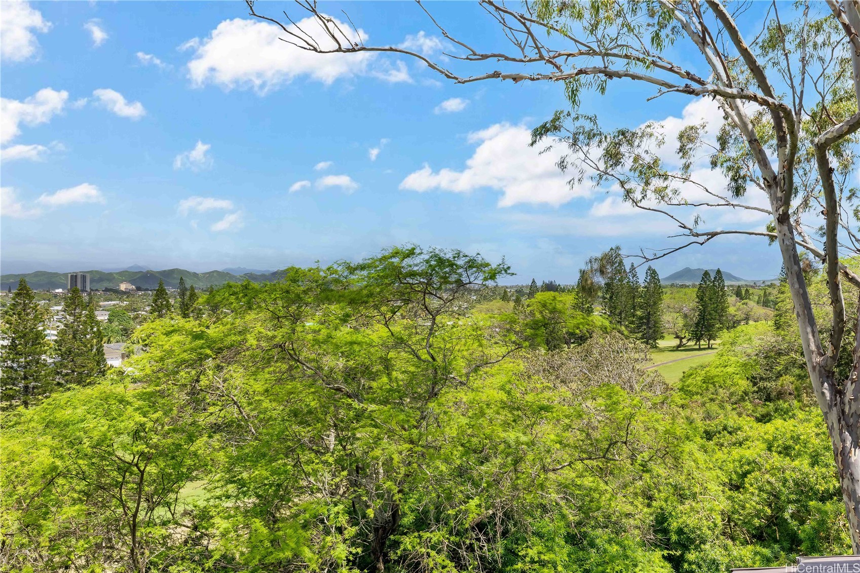 1150b Kamahele Street #3002 Property Photo 19