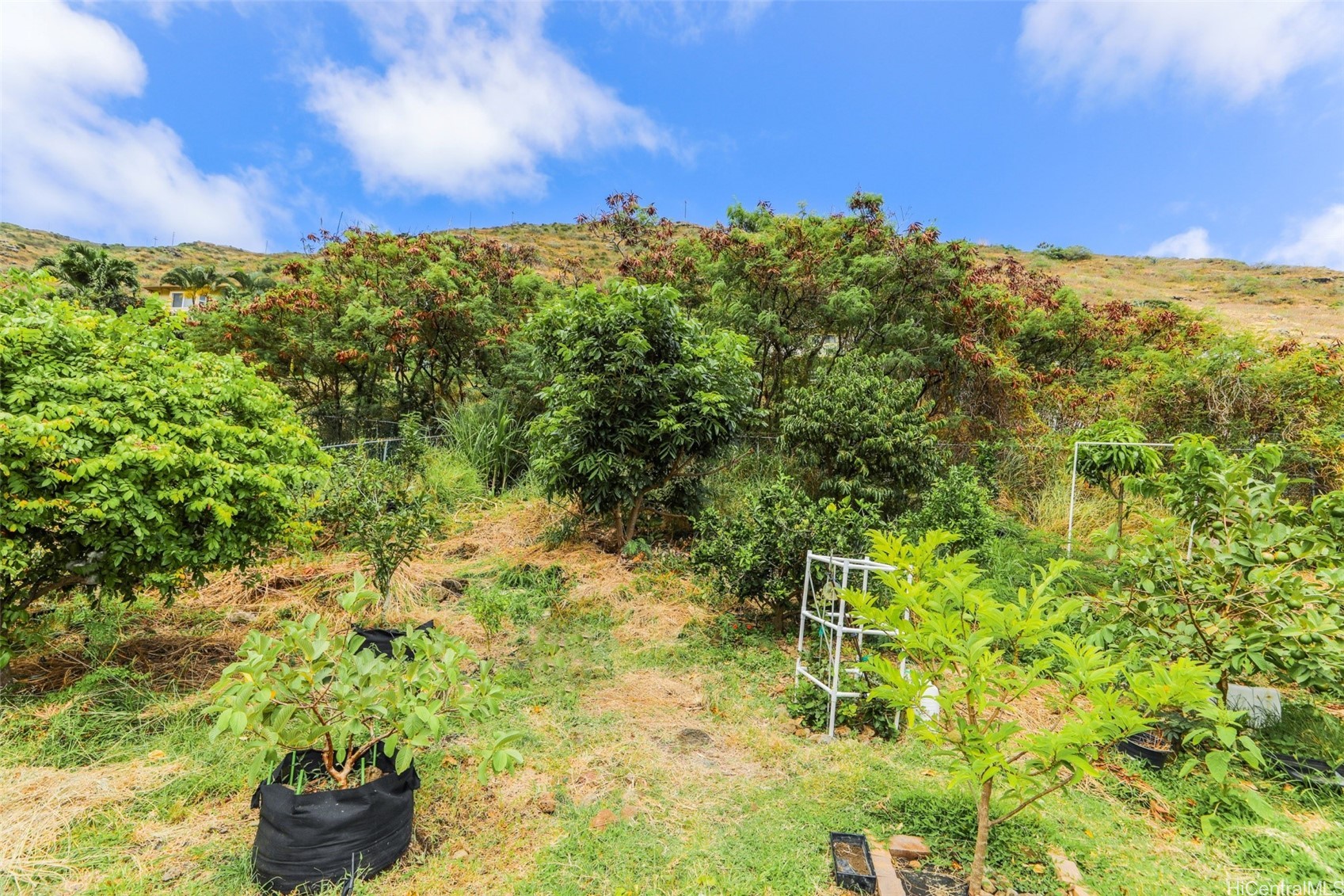 1161 Lunalilo Home Road Property Photo 10