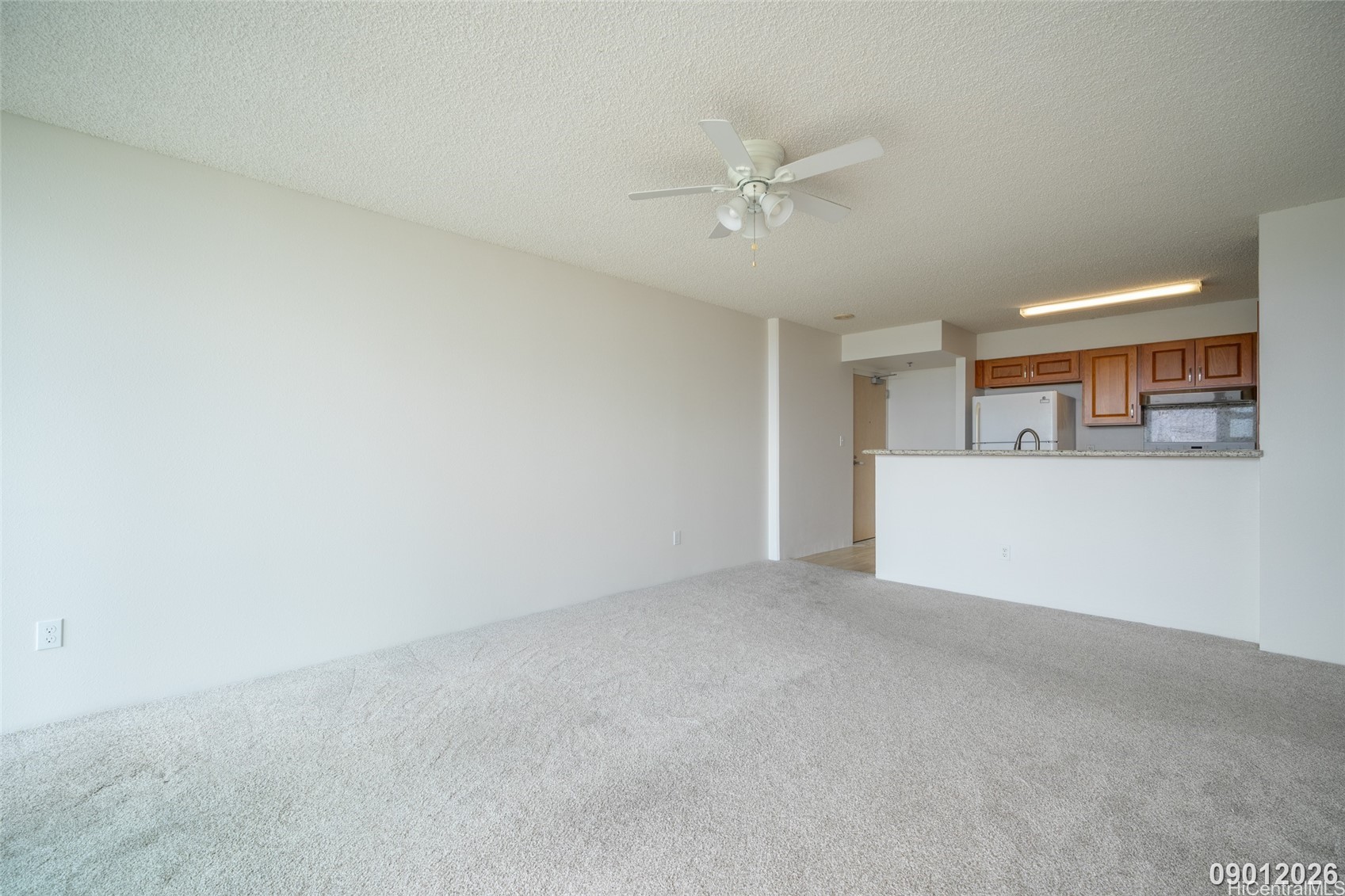 1450 Young Street 1902 Property Photo 10