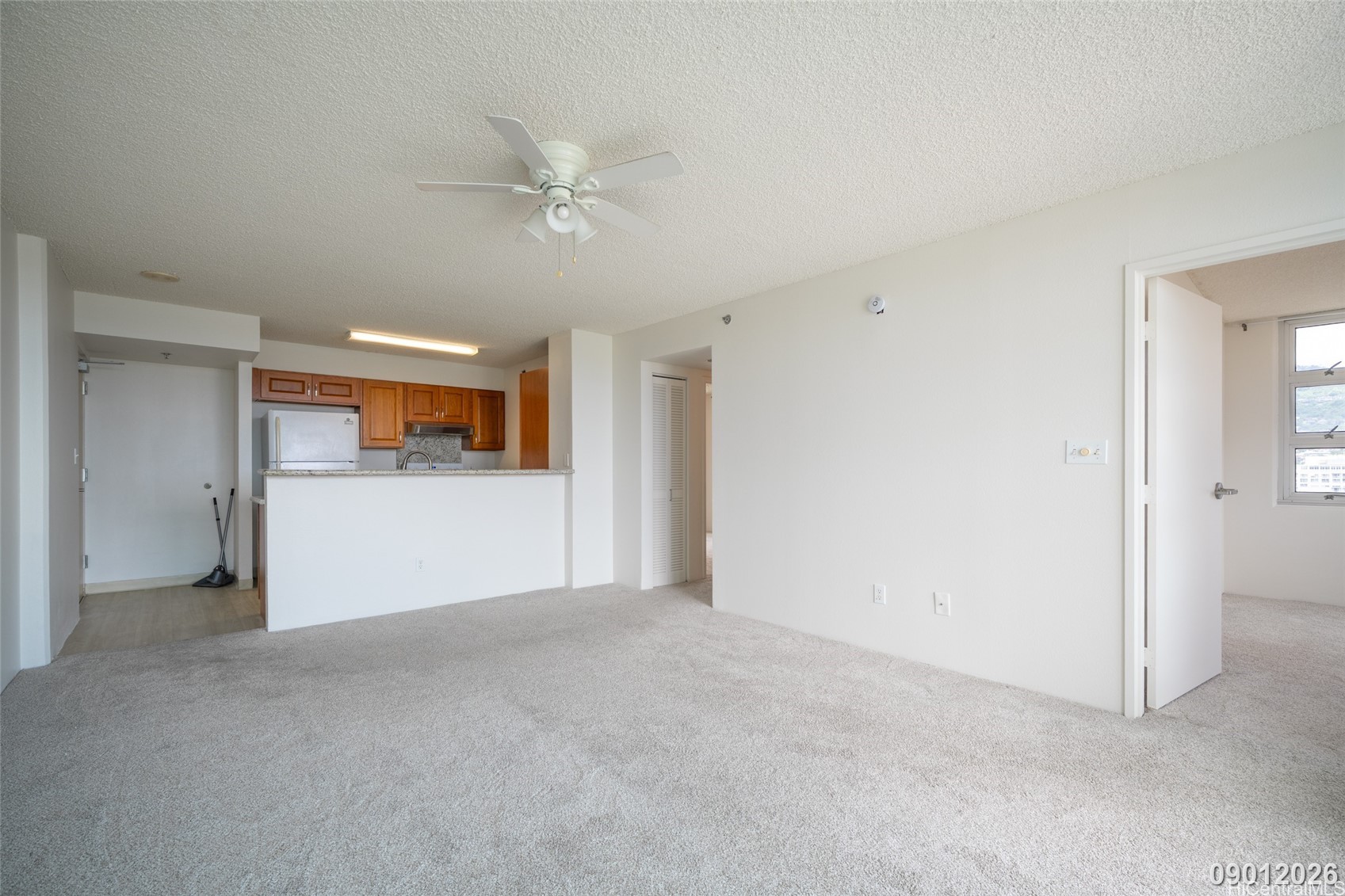 1450 Young Street 1902 Property Photo 11