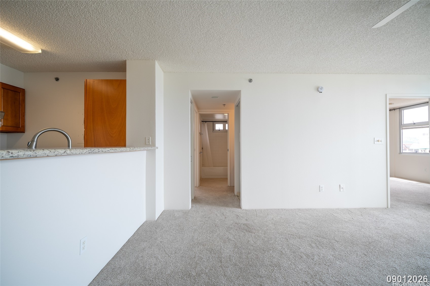 1450 Young Street 1902 Property Photo 12