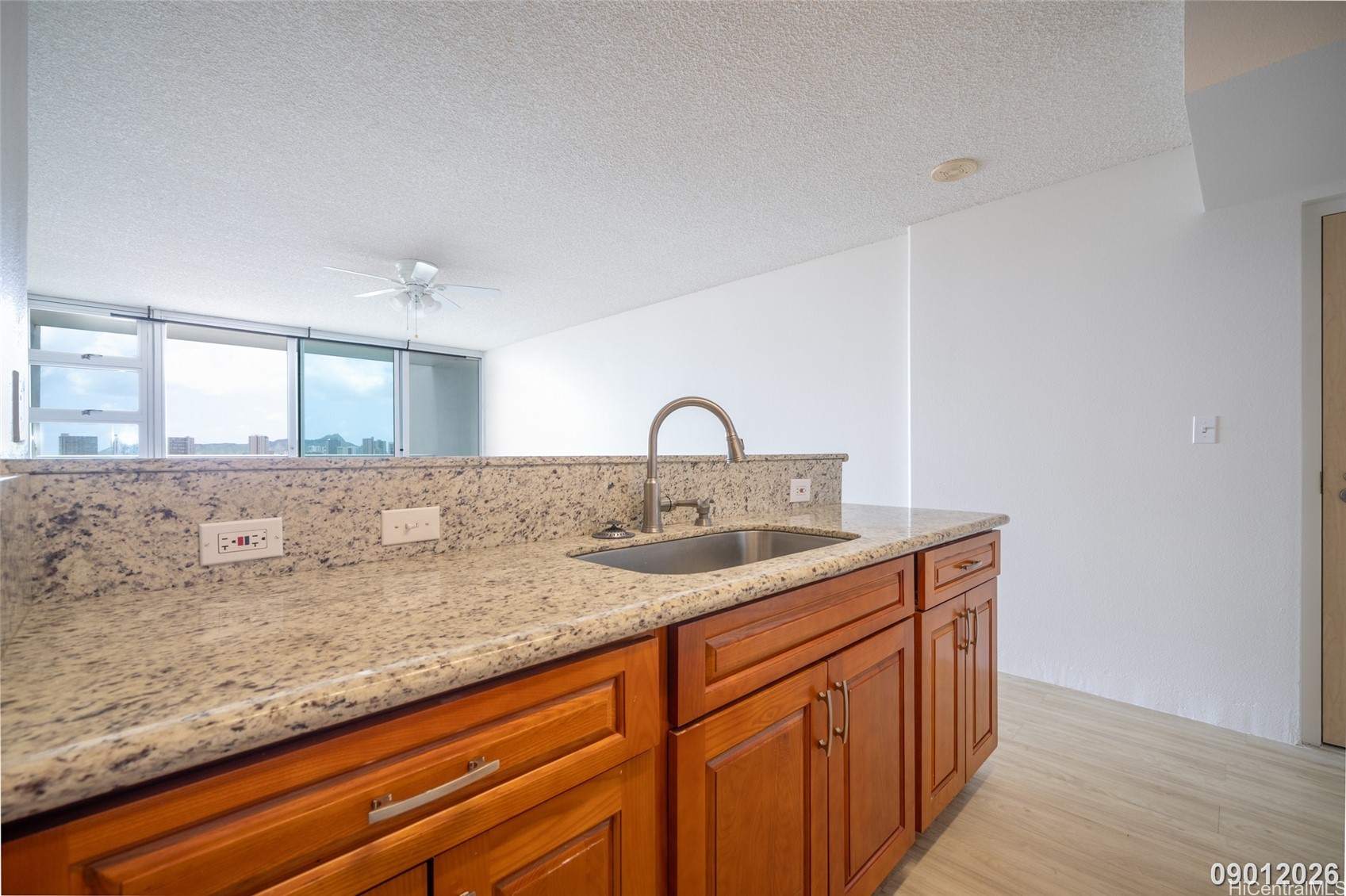 1450 Young Street 1902 Property Photo 15