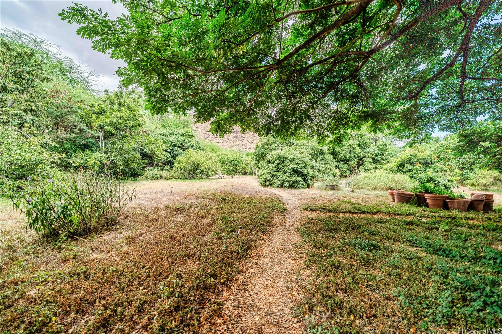 84-425 Makaha Valley Road Property Photo 11