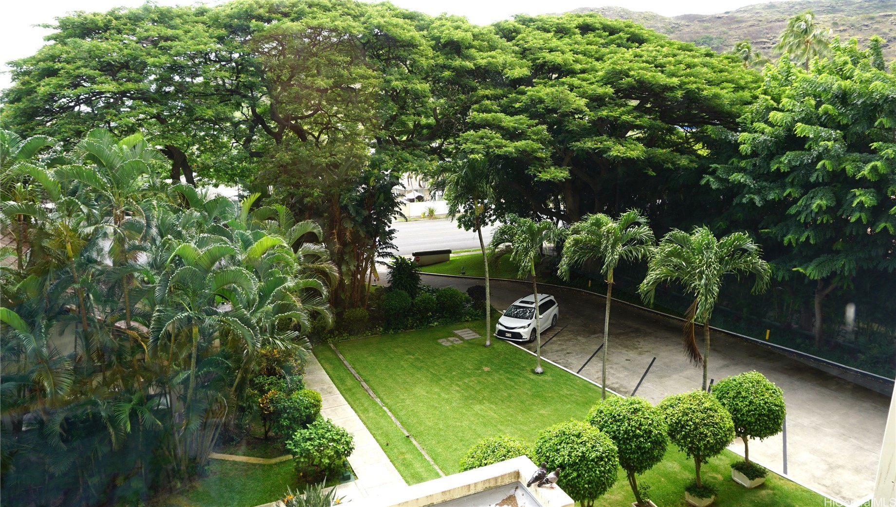 6710 Hawaii Kai Drive 304 Property Photo 5
