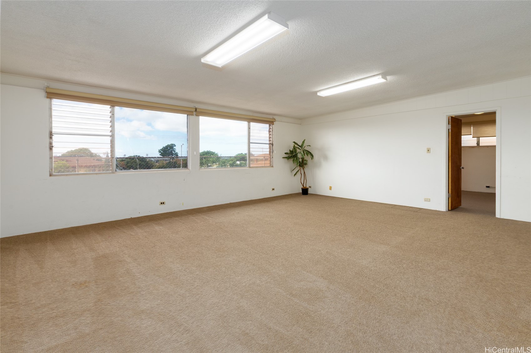 94-101 Hulahe Street Property Photo 7