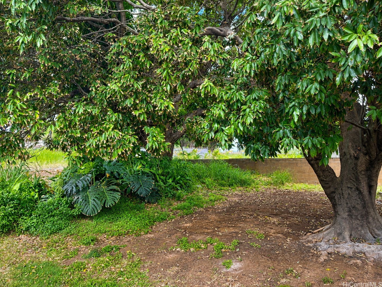98-271 Aiea Kai Place Property Photo 14