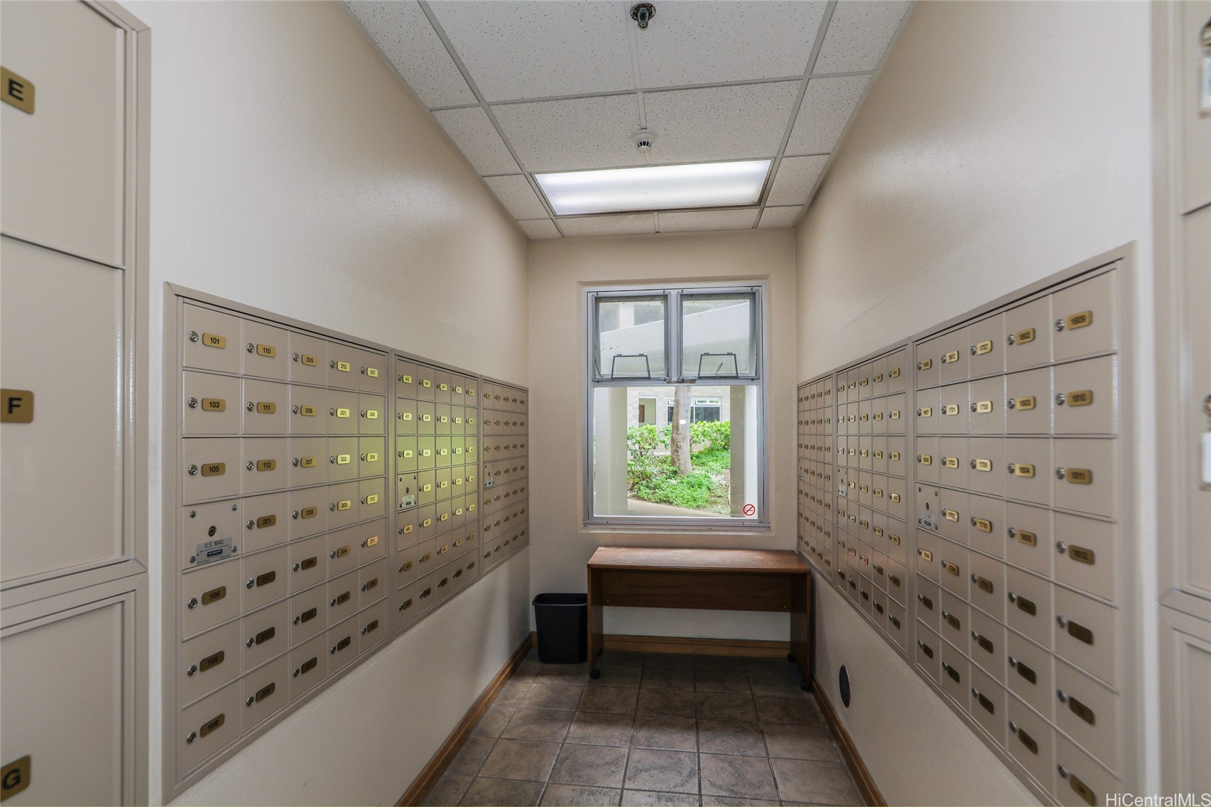 202615773 Property Photo 12