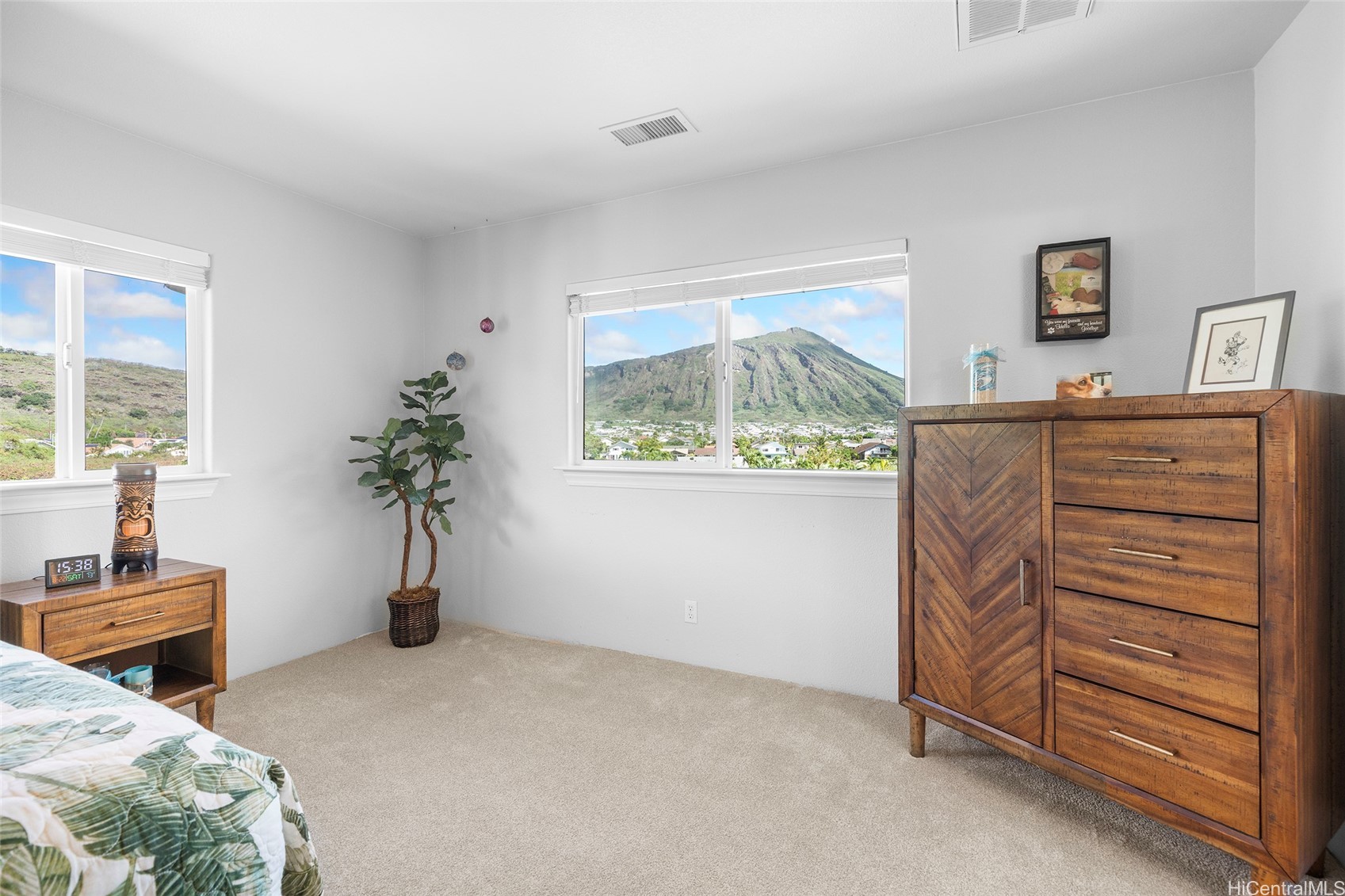 1004 Kaolo Street Property Photo 12
