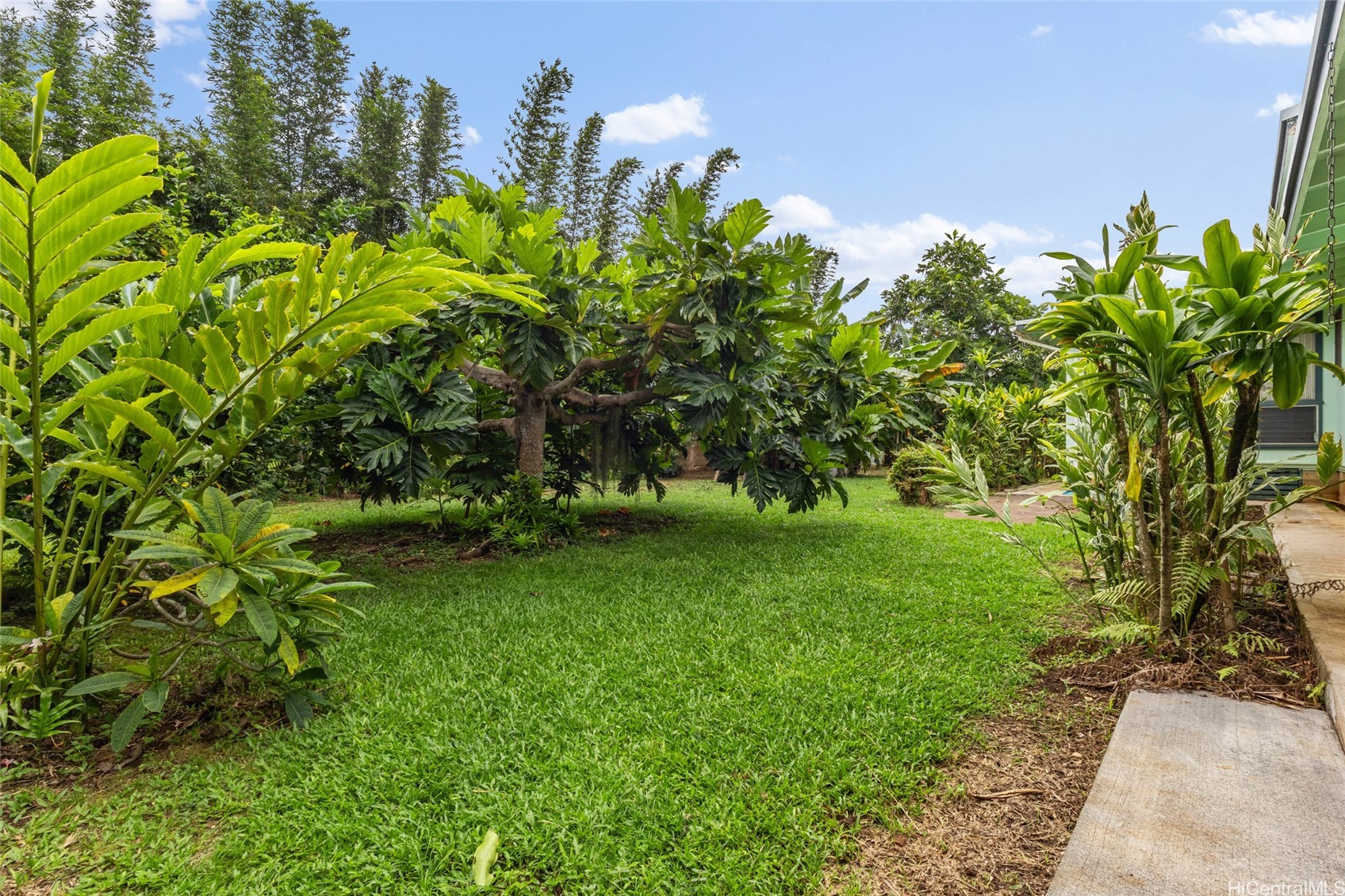 48-459 Kamehameha Highway Property Photo 14