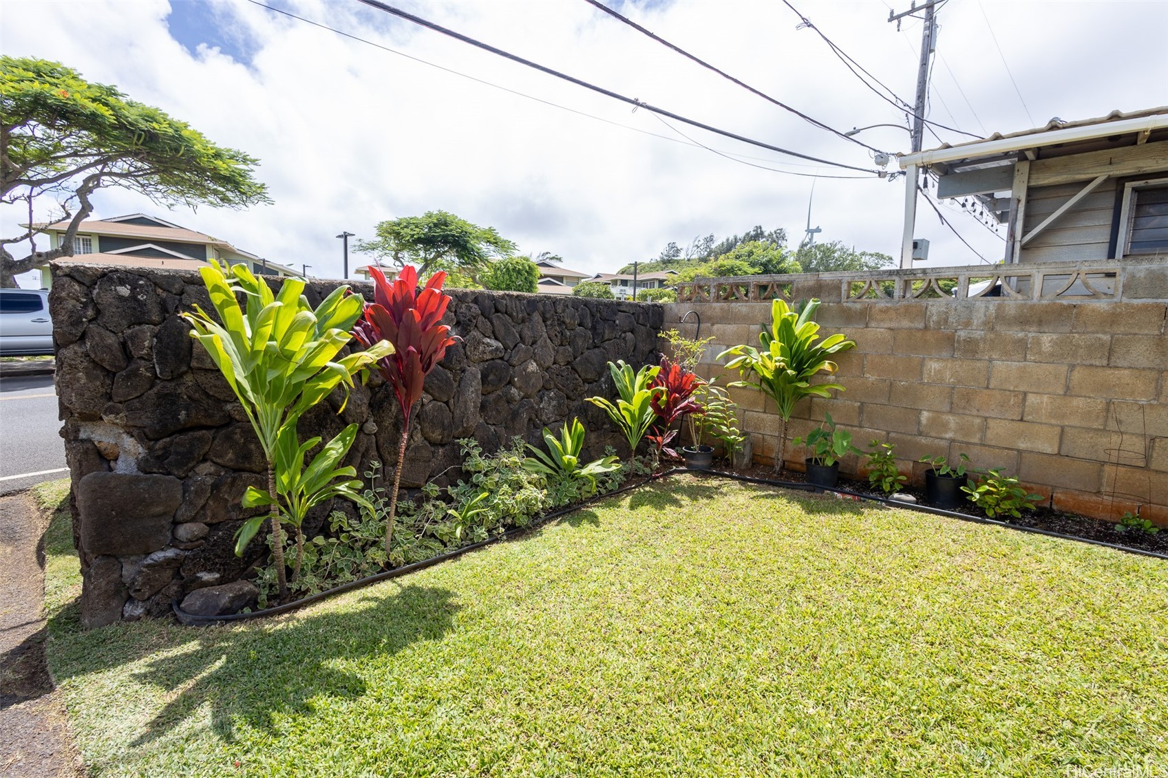 202616743 Property Photo 19
