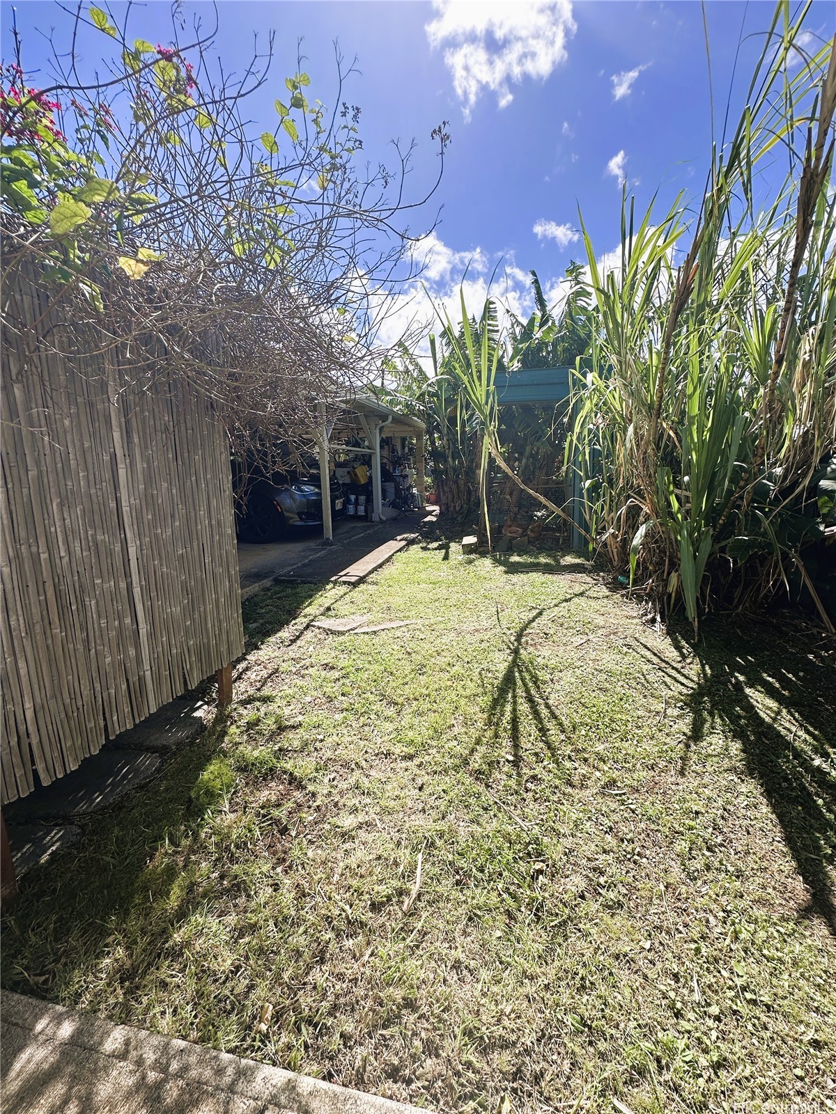 1661 Palolo Avenue A Property Photo 7
