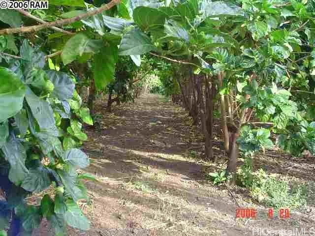 202617272 Property Photo 10