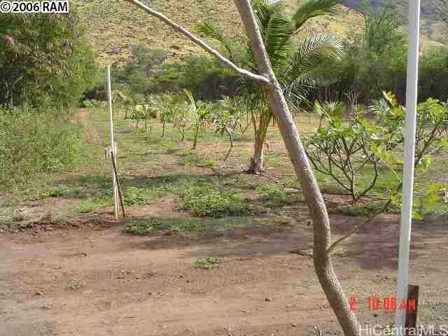 202617272 Property Photo 12