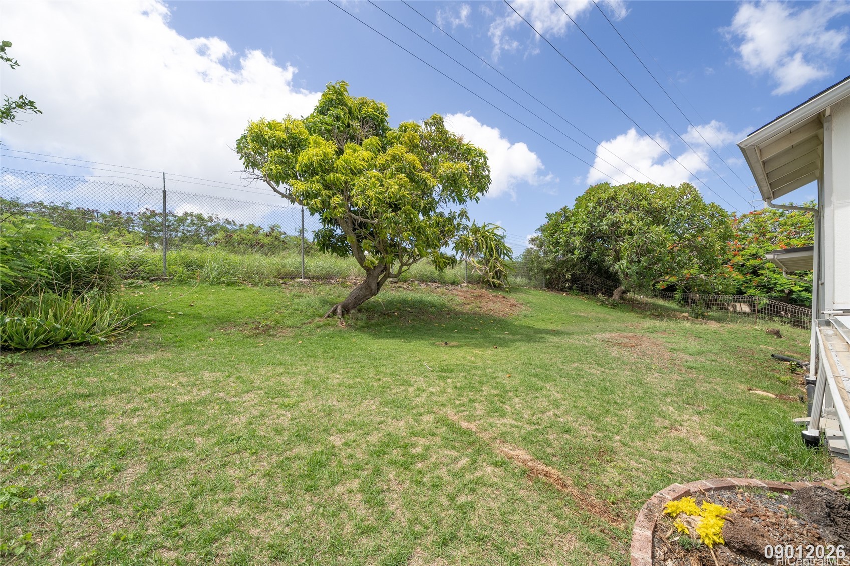 4211 Halupa Street B Property Photo 4