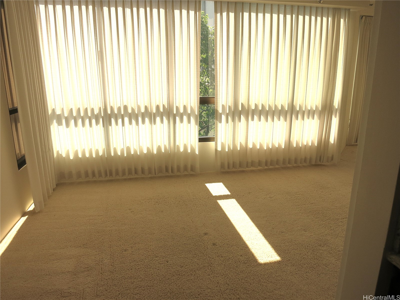 1050 Lunalilo Street 506 Property Photo 5
