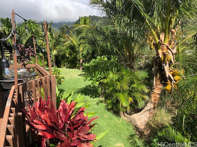 630 Aipuni Street Property Photo 1