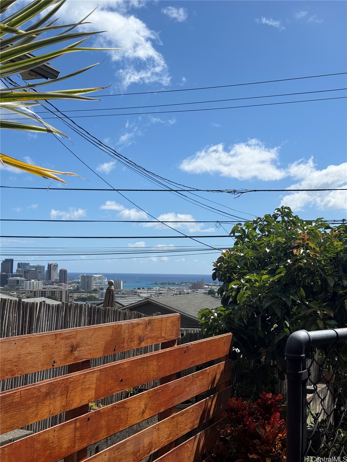 202618733 Property Photo 15