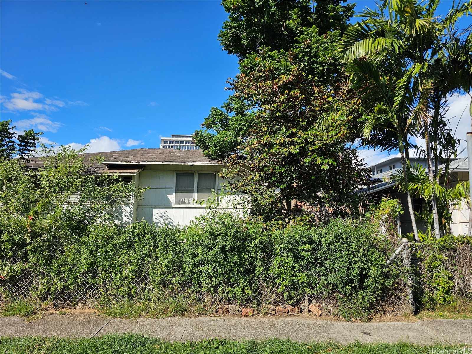 1140 Elm Street Property Photo 4