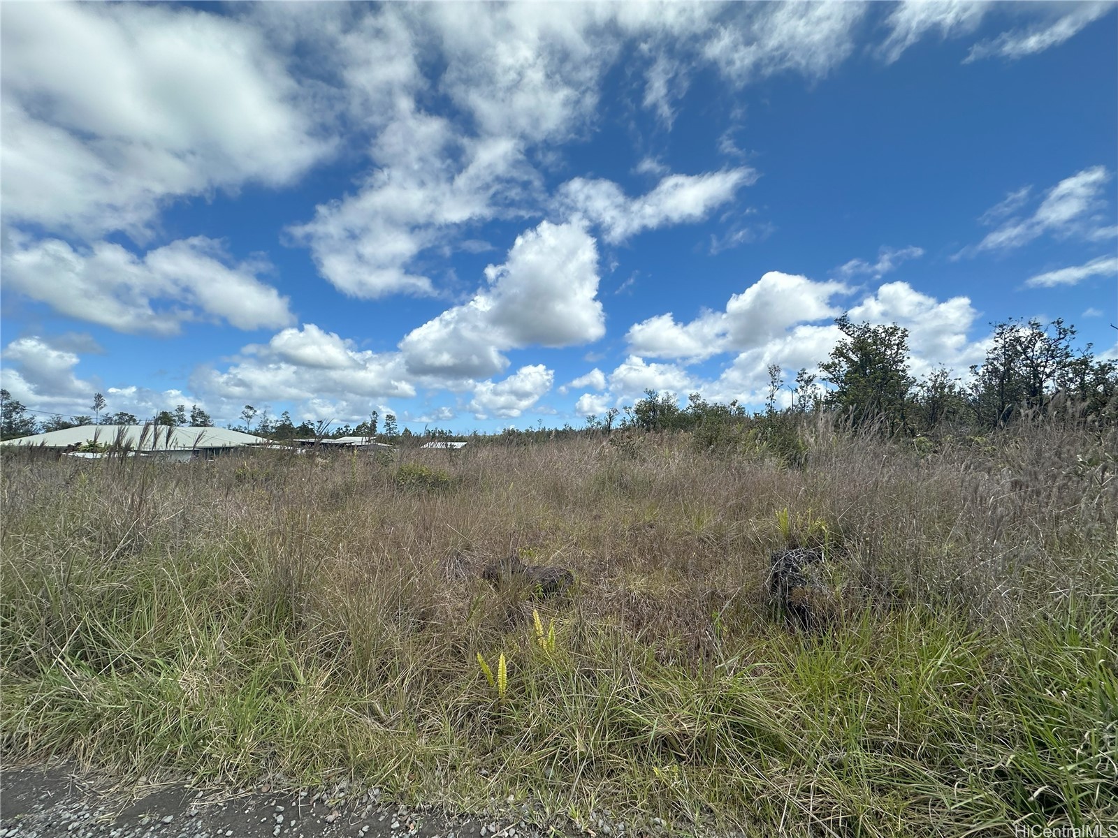 Lot 14 Leila Road Property Photo 2