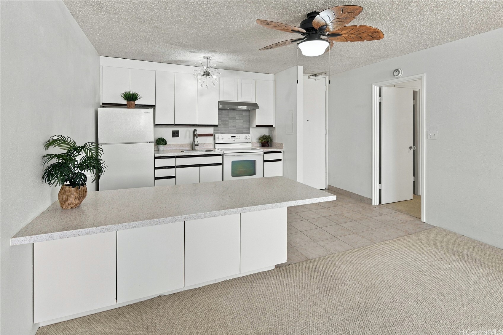 1617 Clark Street 703 Property Photo 4