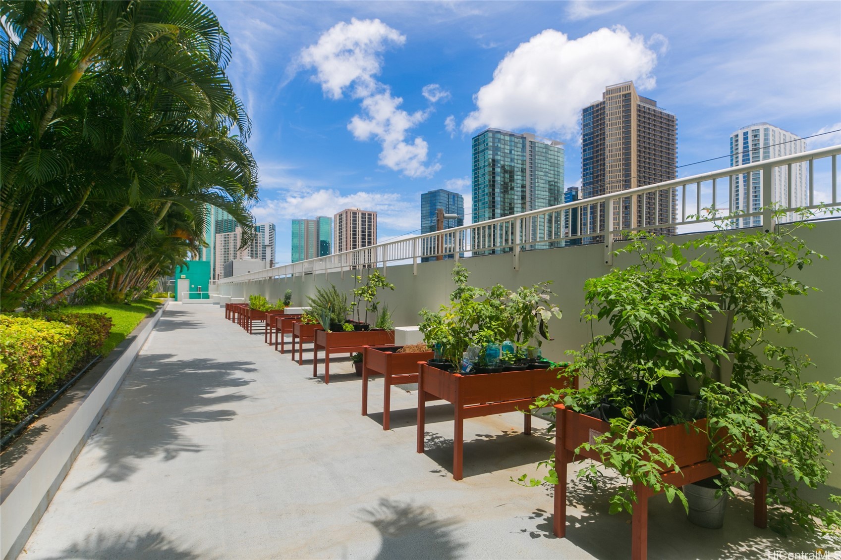 909 Kapiolani Boulevard 2807 Property Photo 20