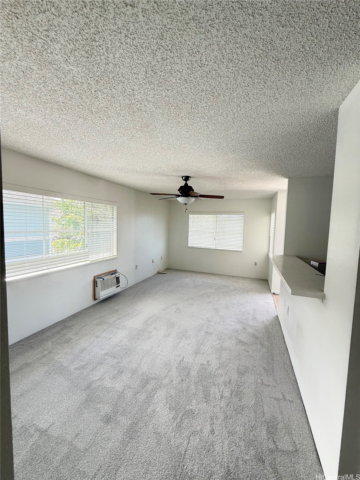 202619817 Property Photo 2