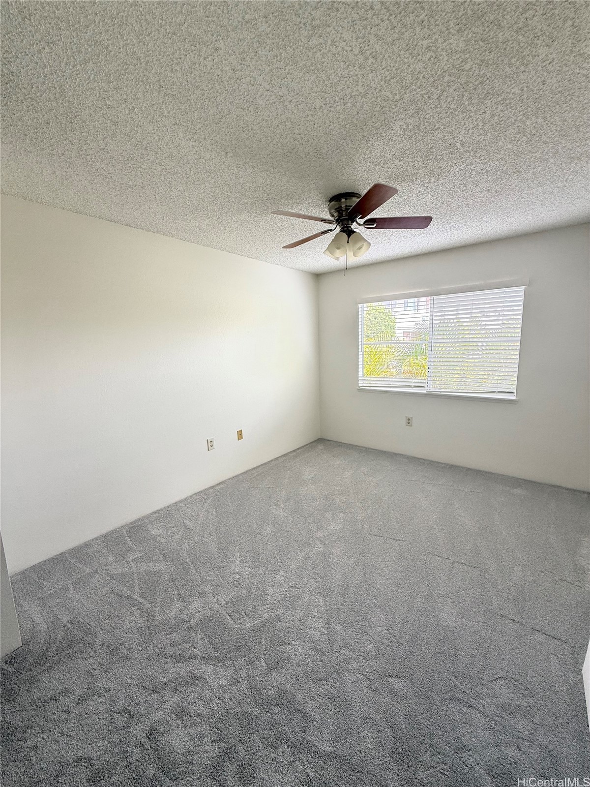 202619817 Property Photo 3
