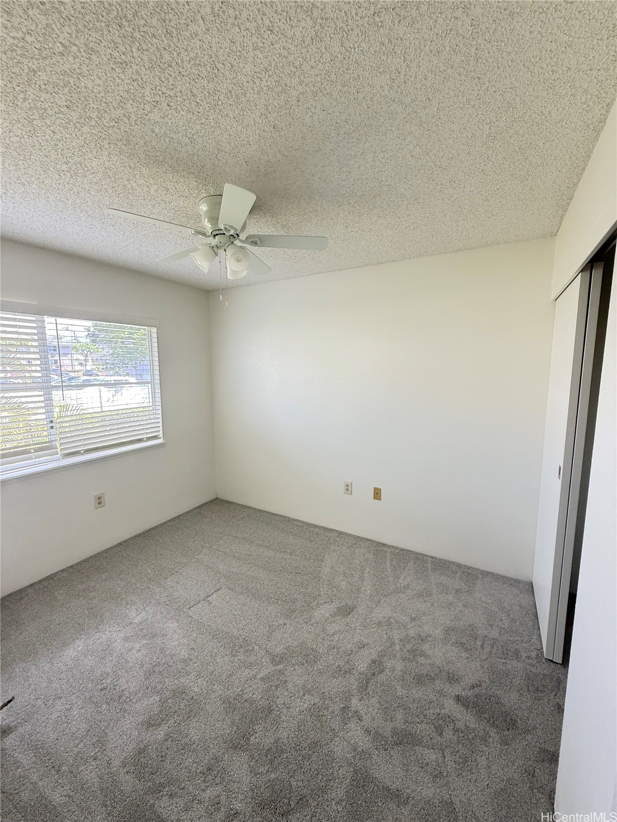 202619817 Property Photo 4