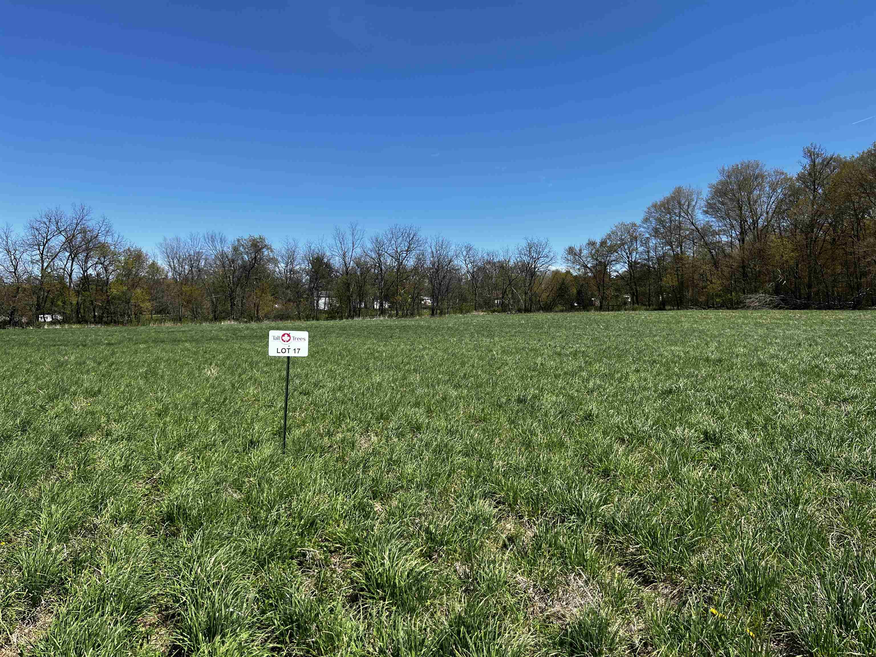 L17 S Forest View Drive Property Photo 1