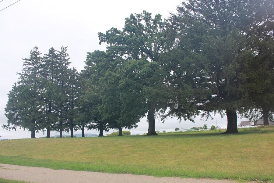 95 Means Drive Property Photo 1
