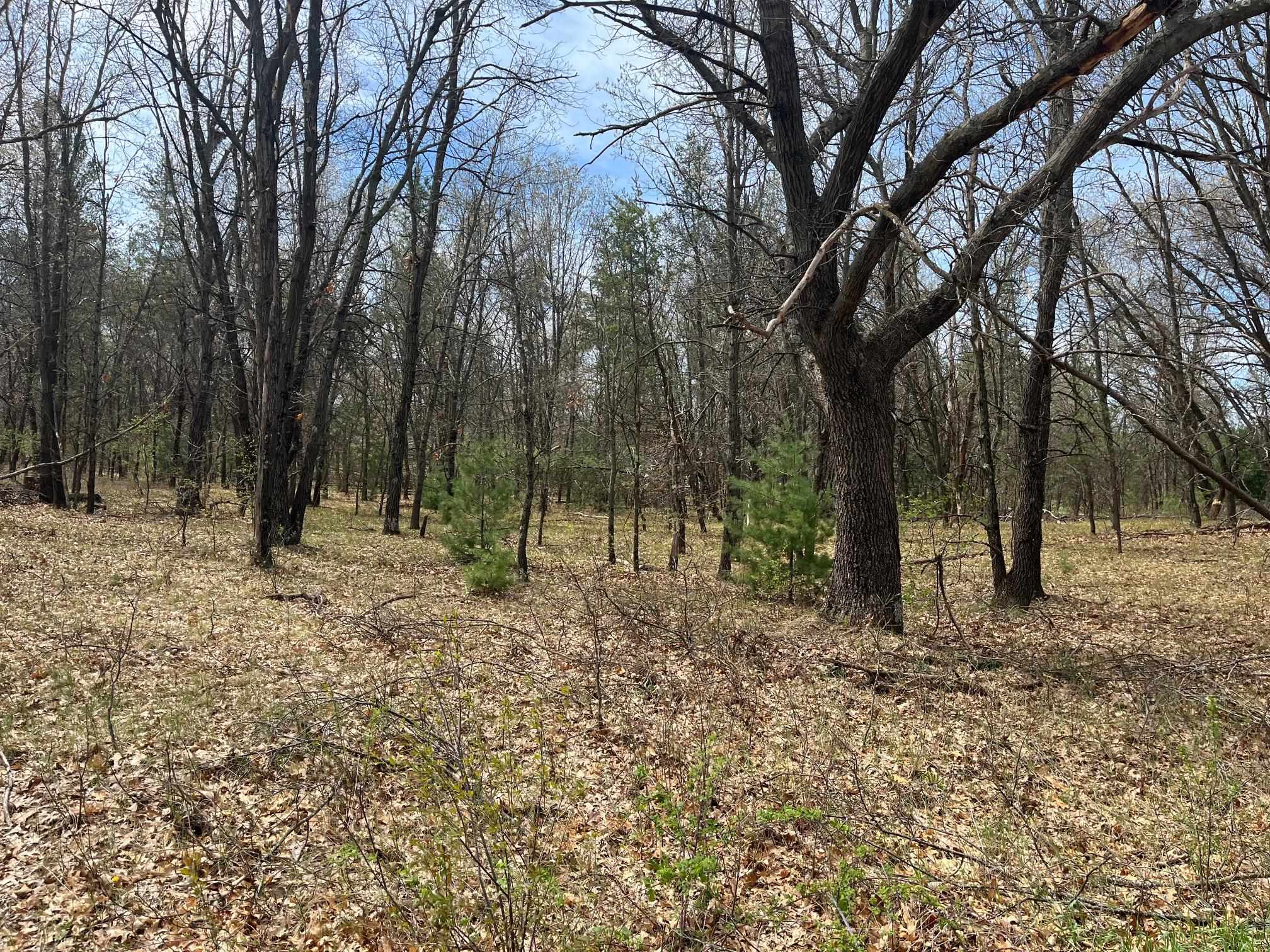 L38 S Duck Creek Avenue Property Photo 1