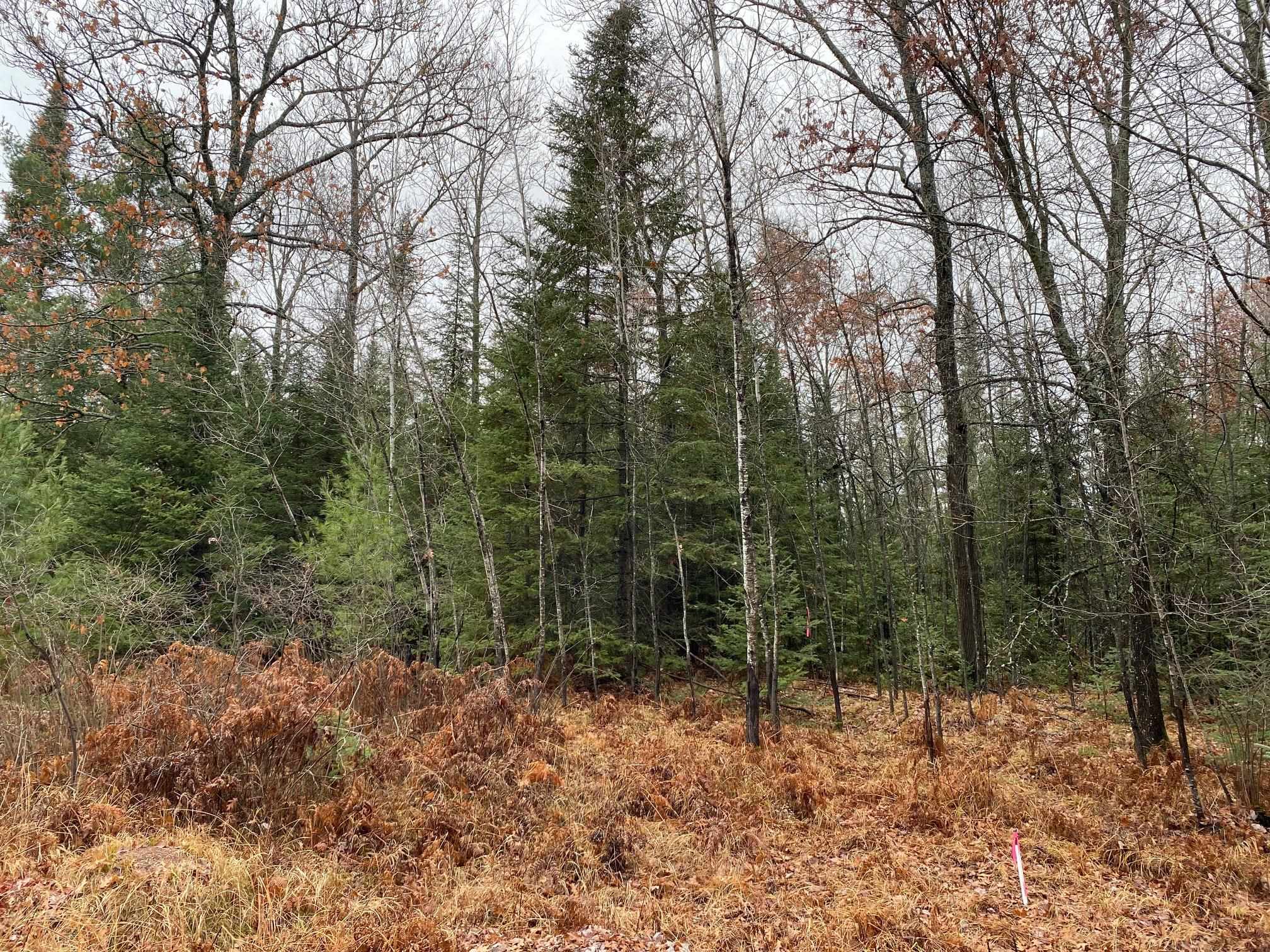 Moen Lake Drive Property Photo 1
