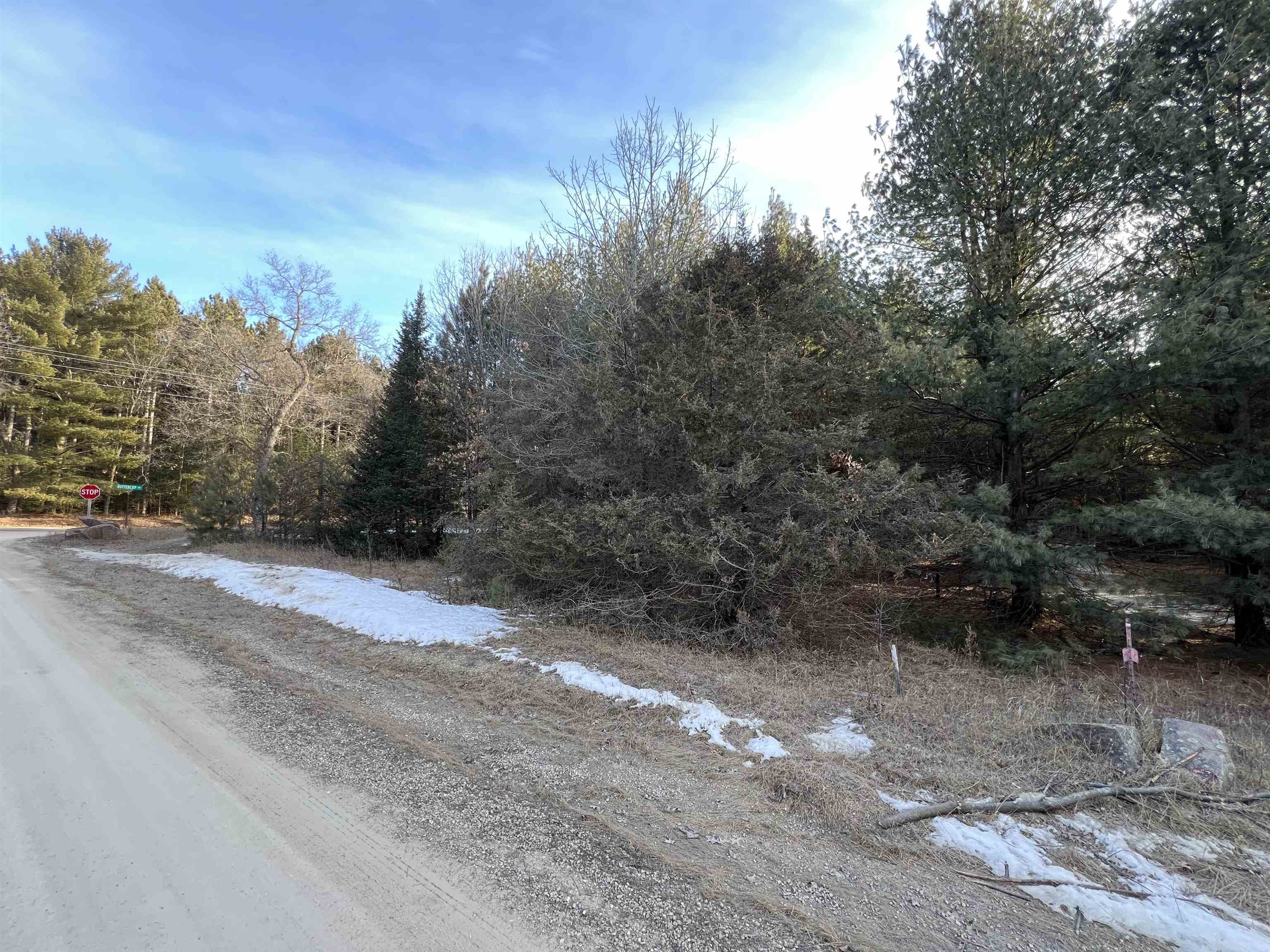 Lot 1 Sandy Pines Court Property Photo 1