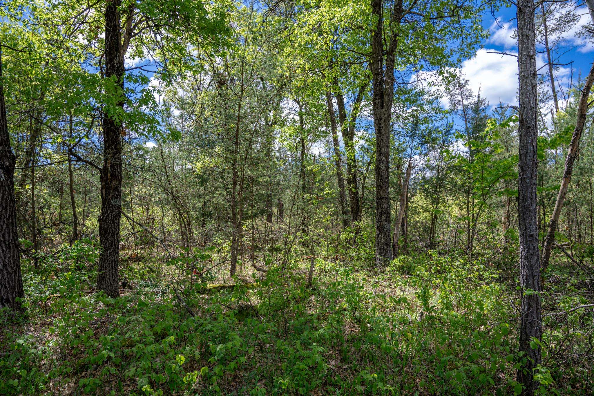 Lot 29 Beach Drive Property Photo 1