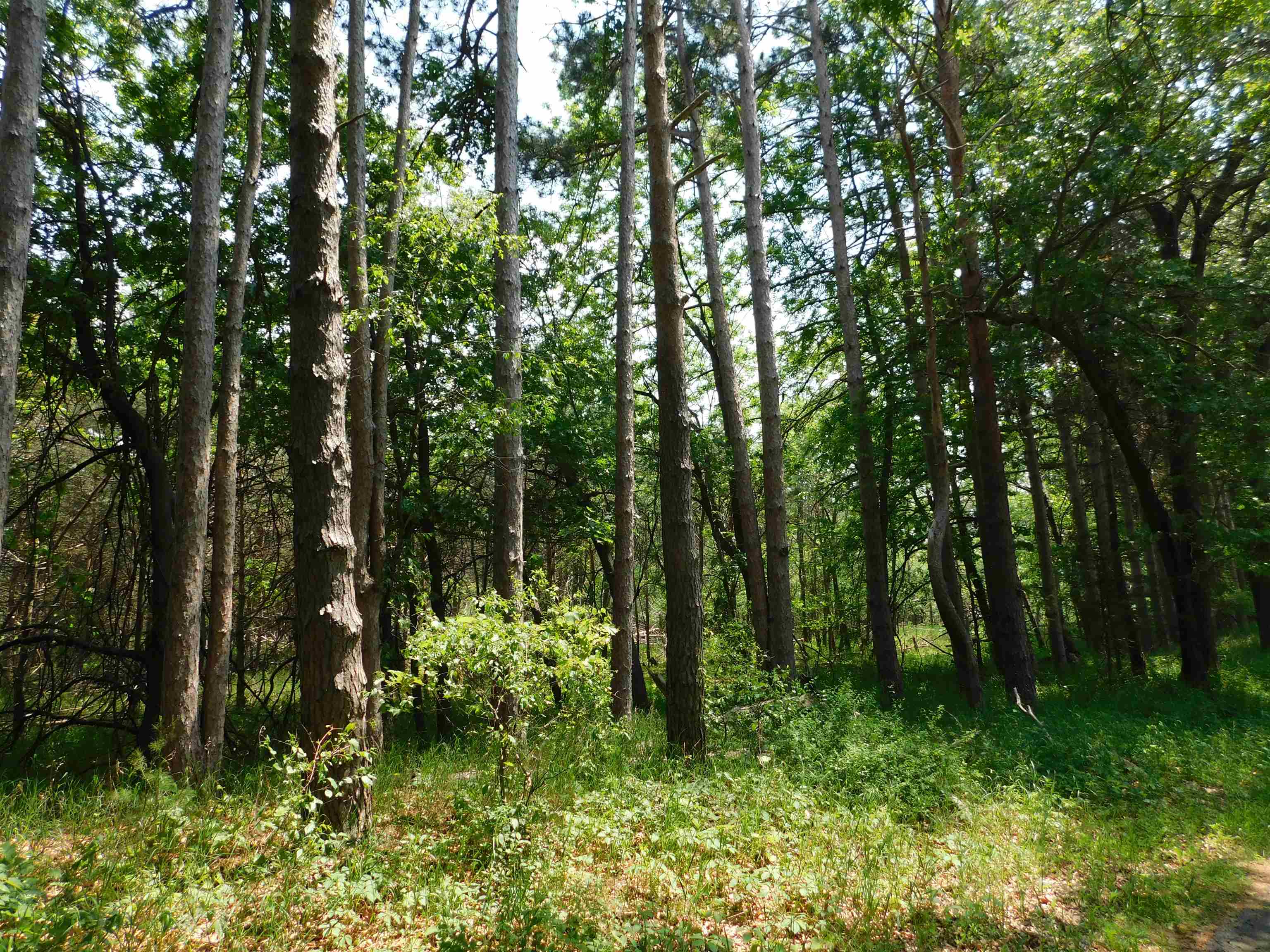 N4502 Pine Drive Property Photo 1