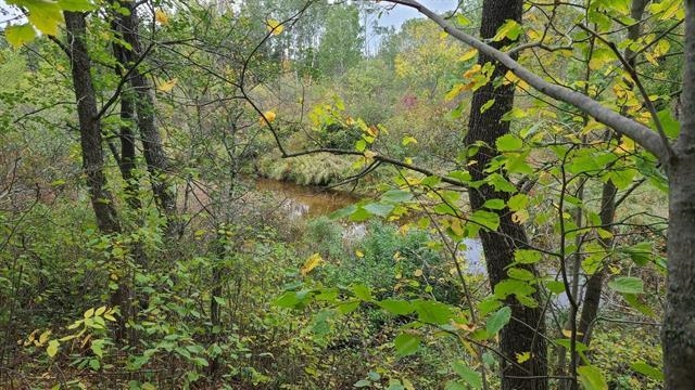 40 Acres Copper Mine Road