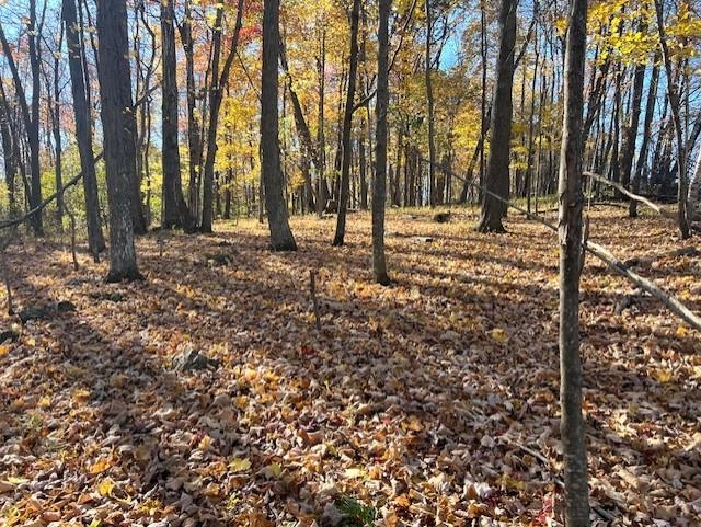32.18 Acres Monarch Avenue Property Photo 1