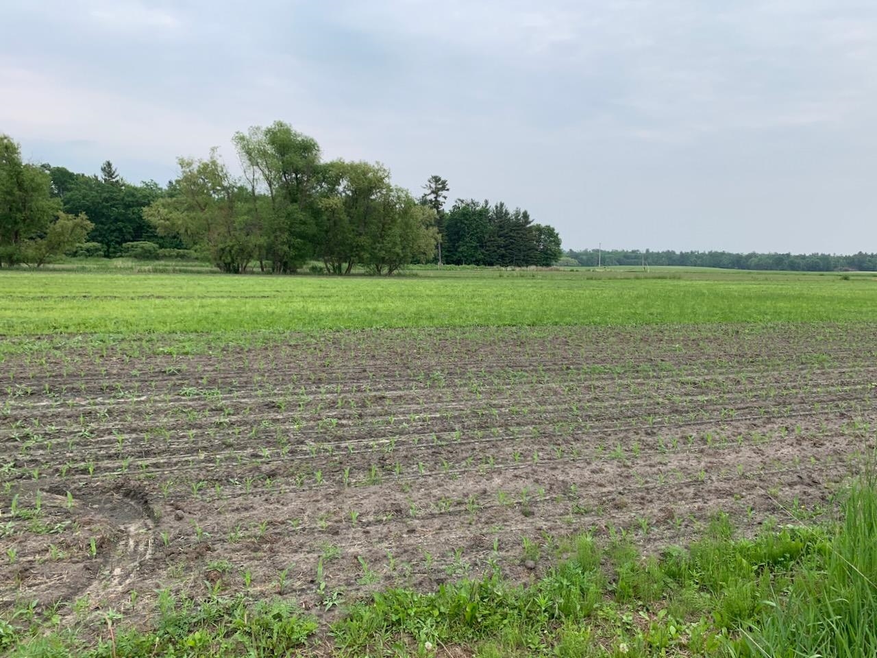 40 Acres 5th Avenue Property Photo 1