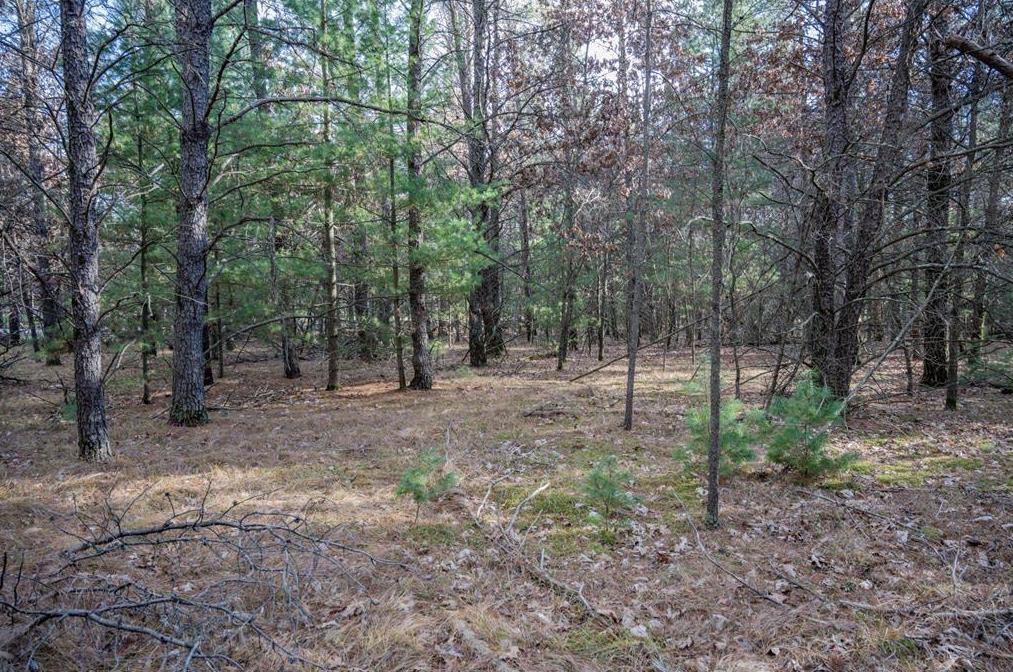 Lot 3 Meadow Drive Property Photo 1