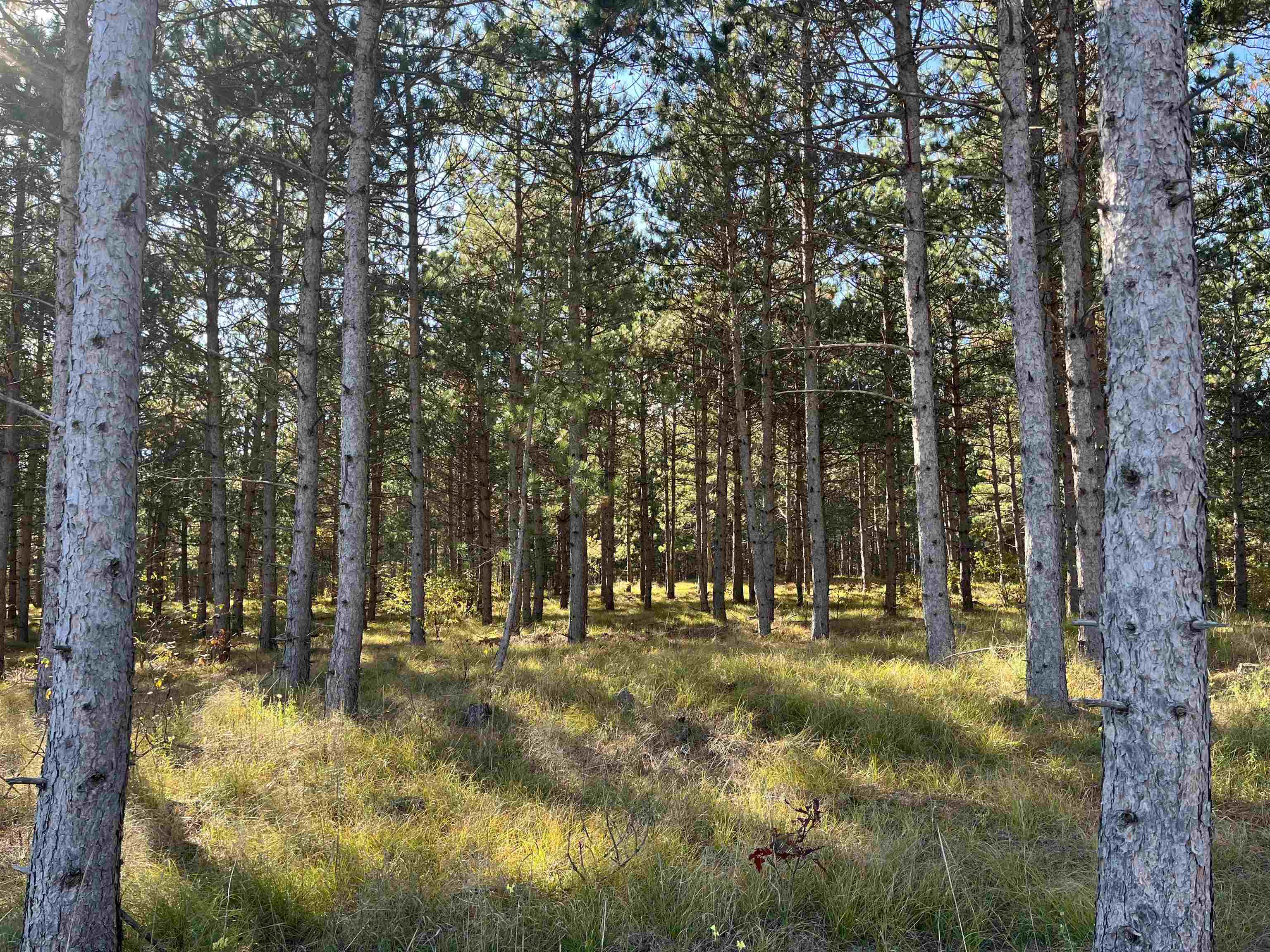 Lot 4 Luna Lane Property Photo 1