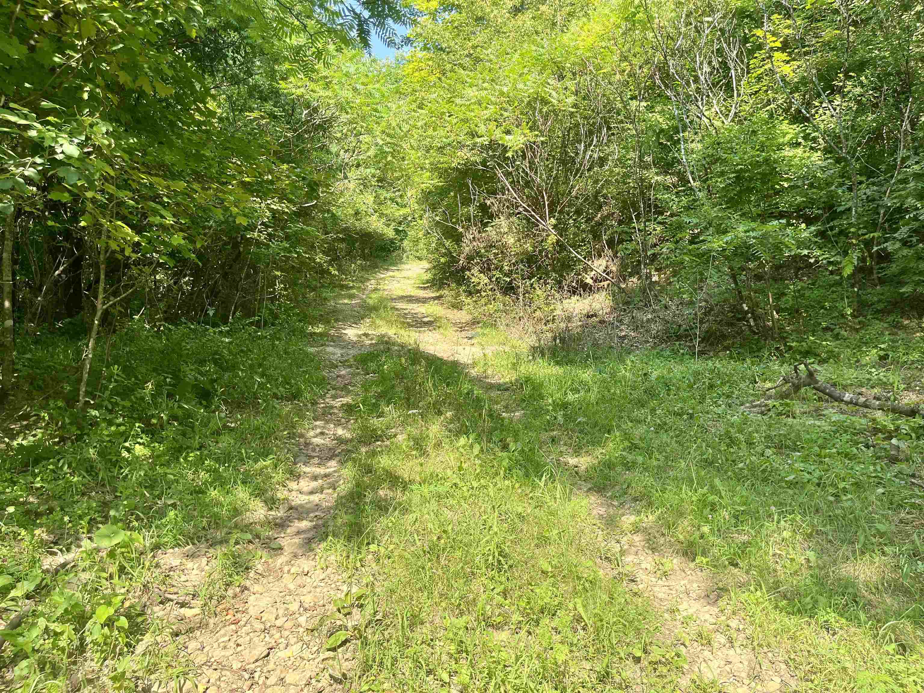 79 Acres, Byers Rd Property Photo 1